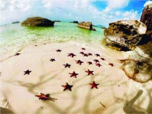 Tour làng chài Rạch vẹm