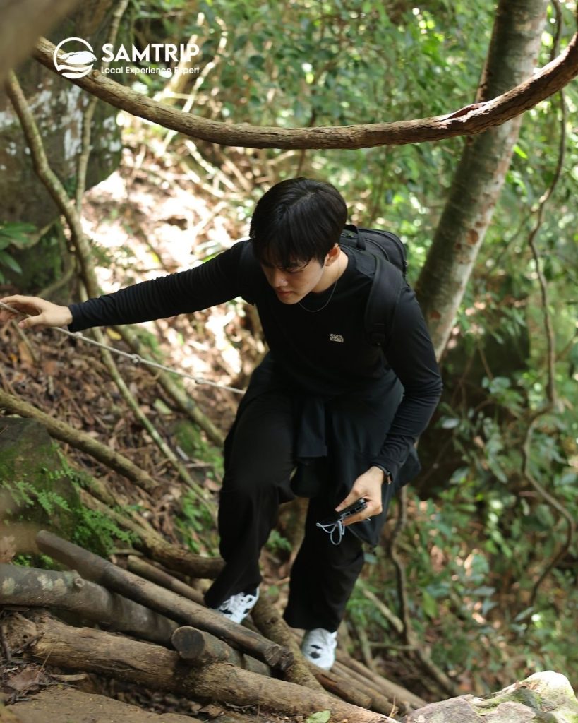Gallery Thumbnail 6