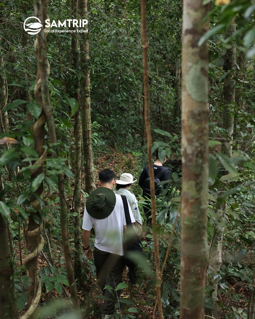 Tiên Sơn Đỉnh Phú Quốc, Tien Son Peak Phu Quoc, Tiên Sơn Đỉnh, Tien Son Peak, Tien Son Dinh Phu Quoc, đỉnh Tiên Sơn Phú Quốc, trekking Tiên Sơn Đỉnh, Tien Son Peak trekking, leo núi Tiên Sơn Đỉnh, Tien Son Peak hiking, tour Tiên Sơn Đỉnh Phú Quốc, Tien Son Peak tour, trekking Phú Quốc, Phu Quoc trekking, leo núi Phú Quốc, Phu Quoc hiking, tour trekking Phú Quốc, Phu Quoc trekking tour, hiking in Phu Quoc, jungle trekking Phu Quoc, trekking rừng Phú Quốc, Phu Quoc jungle adventure, khám phá rừng Phú Quốc, Phu Quoc rainforest trekking, du lịch mạo hiểm Phú Quốc, Phu Quoc adventure tour, du lịch thiên nhiên Phú Quốc, Phu Quoc nature tour, Phu Quoc eco tour, nóc nhà Phú Quốc, rooftop of Phu Quoc, điểm đến hoang sơ Phú Quốc, Phu Quoc hidden gem, Phú Quốc ngoài biển đảo, Phu Quoc off the beaten path, check in Tiên Sơn Đỉnh, Tien Son Peak check in, chinh phục Tiên Sơn Đỉnh, conquer Tien Son Peak, ngắm toàn cảnh Phú Quốc, Phu Quoc panoramic view, săn mây Phú Quốc, cloud hunting Phu Quoc, đường lên Tiên Sơn Đỉnh, way to Tien Son Peak, kinh nghiệm leo Tiên Sơn Đỉnh, Tien Son Peak hiking guide, Tiên Sơn Đỉnh có gì đẹp, what to see at Tien Son Peak, Tiên Sơn Đỉnh mùa nào đẹp, best time to visit Tien Son Peak, tour trekking Suối Tranh Tiên Sơn Đỉnh, Tien Son Peak and Tranh Stream tour, Suối Tranh Phú Quốc, Tranh Stream Phu Quoc, hoạt động ngoài trời Phú Quốc, Phu Quoc outdoor activities, địa điểm trekking Phú Quốc, best trekking in Phu Quoc, khám phá đảo ngọc, explore Phu Quoc Island, Phu Quoc Island adventure, book tour Tiên Sơn Đỉnh Phú Quốc, book Tien Son Peak tour, giá tour Tiên Sơn Đỉnh Phú Quốc, Tien Son Peak tour price, tour leo núi Phú Quốc có hướng dẫn viên, Phu Quoc hiking tour with guide, private trekking tour Phu Quoc, Phu Quoc adventure travel, Phu Quoc jungle trekking for beginners, Tien Son Peak travel guide, Tien Son Peak Phu Quoc travel guide