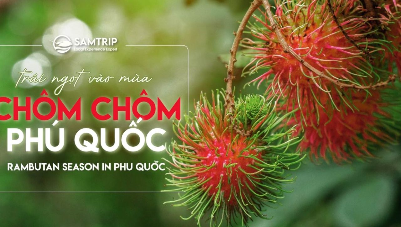 Samtrip Phú Quốc - Chôm Chôm