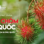 Samtrip Phú Quốc - Chôm Chôm