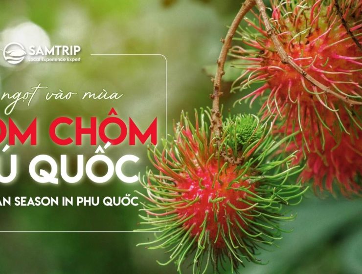 Samtrip Phú Quốc - Chôm Chôm
