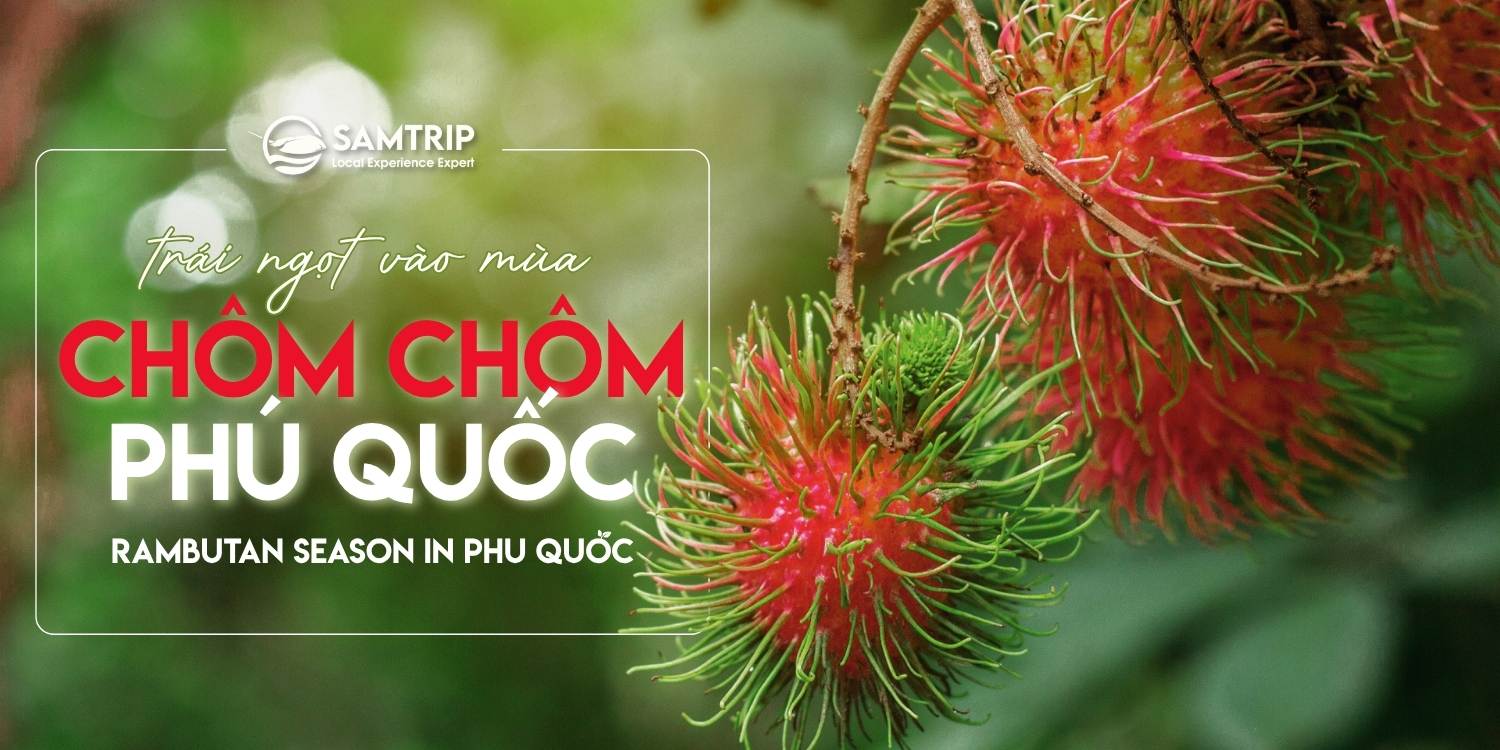 Samtrip Phú Quốc - Chôm Chôm