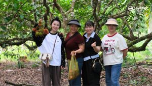 Samtrip Phú Quốc - Chôm Chôm