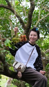 Samtrip Phú Quốc - Chôm Chôm